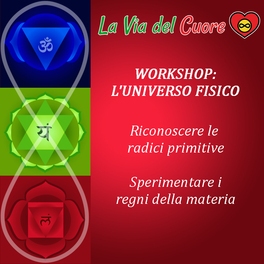 WORKSHOP I 3 CENTRI DELLA COSCIENZA:
Universo Fisico 
con Federico D'Ambrosio
La Via del Cuore